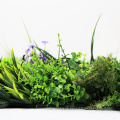 Customized outdoor artificial fern grass mat for vertical garden wall